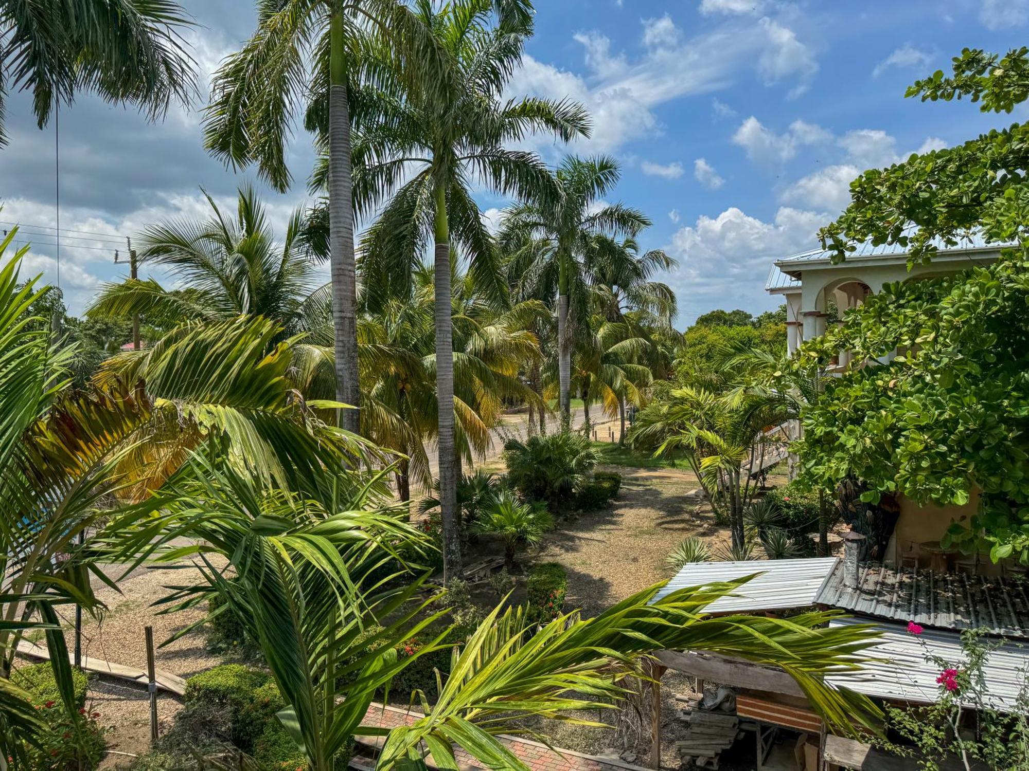Caribbean Shores Belize Hopkins Dış mekan fotoğraf